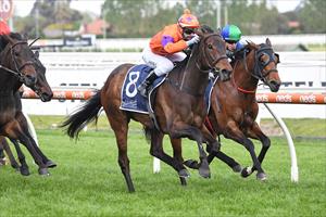 O'BRIEN QUINELLA IN LADIES DAY VASE